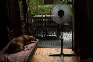 7 Best Bed Fans for Hot Sleepers in 2026