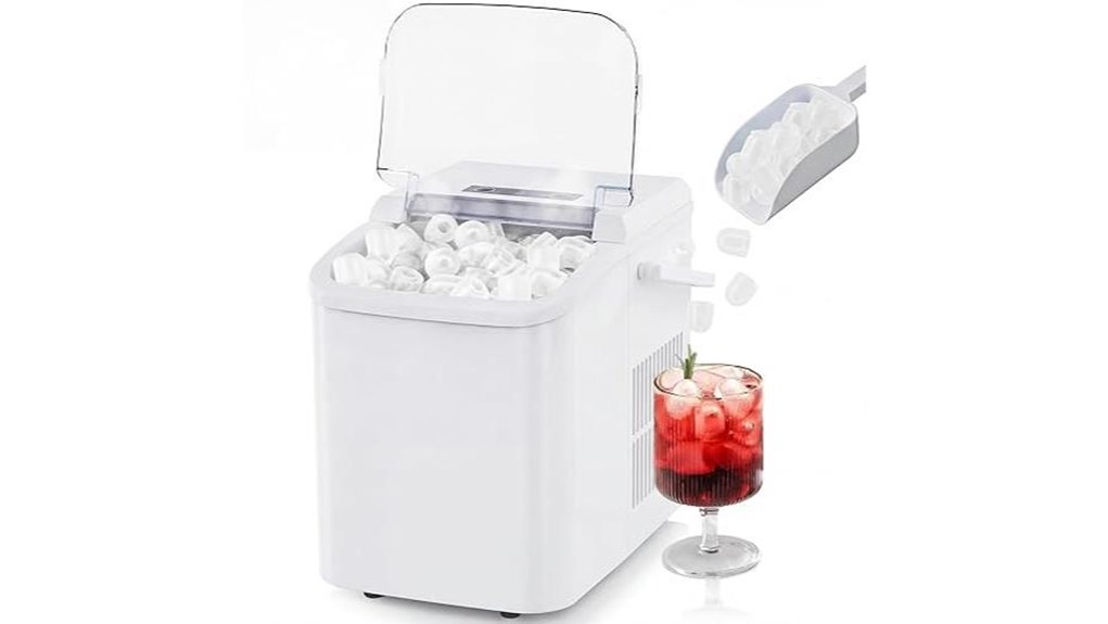 portable ice maker with auto clean