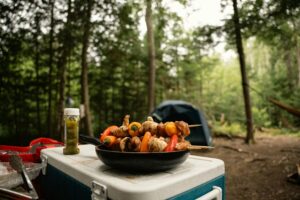 5 Best Rechargeable Coolers for Car Camping in 2026