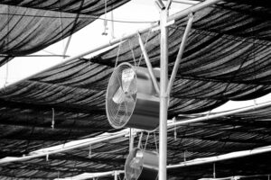 15 Best Cooling Products Without Installation in 2026